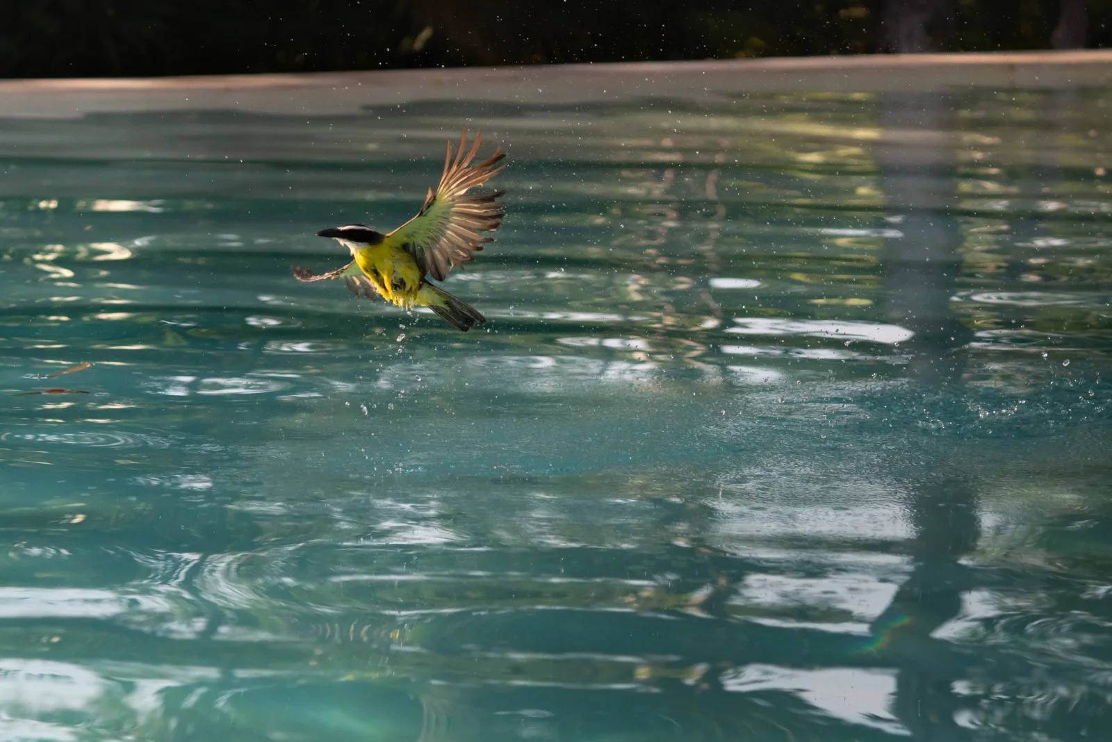 nature photography by JRMGraphy